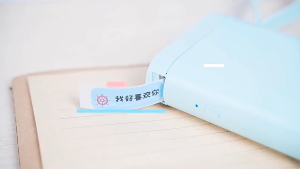 NIIMBOT D11 Upgraded Version Label Maker Bluetooth Label Printer Handheld Small Sticker Printer