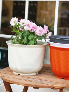 กระถางพลาสติก เรซิ่นดอกไม้หม้อสไตล์มินิมอล แข็งแรง สวยงาม ระเบียง กระถางกระบองเพชร