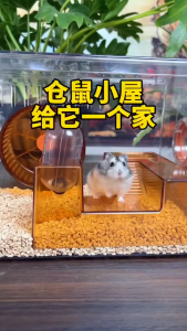 Hamster Cage Hamster House Sangkar Hamster Villa Hamster Full Set Rumah Hamster 仓鼠笼子