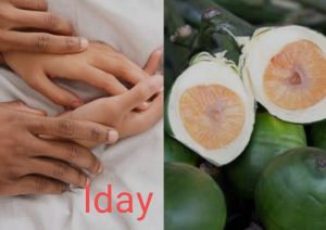 BUAH PINANG MUDA / JAMBE / BUAH JAMBE MURAH ASLI LANGSUNG DI PETIK OBAT HERBAL ALAMI