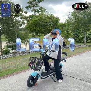 ★LEM★new electric bike/electric bicycle/electic scooter model lem vq (e-bikes) 2 seat