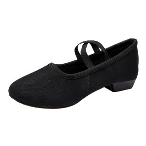 Professional Black Dance Shoes for Women: Soft Bottom Indoor Outdoor Practice Ethnic Dancing Shoes New Model Teacher Training Shoes