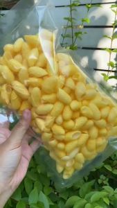 รังไหมขัดหน้า 1ถุงใหญ่ ขัดผิว ขัดสิวเสี้ยน สิวหัวดำ รังไหมสีเหลืองทองจากธรรมชาติแท้50กรัม