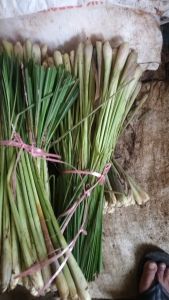 Sereh Segar: Bahan Bumbu 250grm