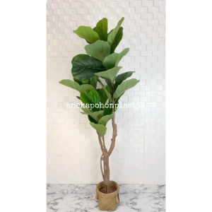 Pohon Hias Artificial Tanaman Daun Ketapang X3 T150 Latex Artificial Cover Purun Handle Hiasan Dekorasi Sudut Ruangan Aesthetic