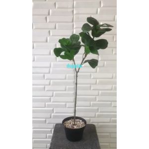 Pohon Plastik Ketapang T75 Latex Artificial Pot Dasar Hitam Tanaman Hias Dekorasi Rumah Hiasan