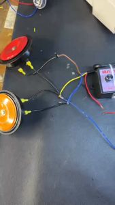 1 đôi Còi đĩa 2 màu đức 12v 24vv