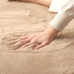 Ins Style Faux Rabbit Fur Carpet Machine Washable