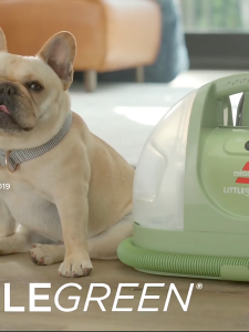 【BISSELL】LITTLE green SpotCleanMulti-Purpose Sofa Carpet Fabric Mat Mattress Cleaner Portable cleaning machine 2067Z必胜布艺清洗机宠物专用