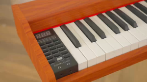 WENCAI 88-Key Portable Digital Piano Complete Set: Fully Sensitive touch piano Keyboard for Beginners (with Stand/ Pedal)