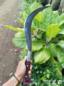 Cr asli Jawa Timur model fultang