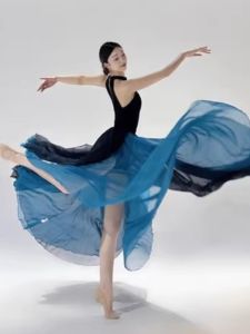 Elegant Double Layer Silk Dance Skirt for Women Classic Ballet Exam Two Sided Wear Floating Gown Fairy Tale Dance Dress