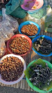 เขียดแห้ง1กิโลกรัมเกรดAหมักตะไคร้ก่อนตากแห้ง อำเภอธาตุพนม เขียดอีโม่ เขียดสำหรับทอดหรือปิ้ง ของแซ่บอีสาน หนัก100กรัม-10กิโล