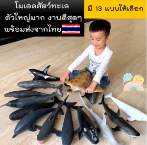 สัตว์ทะเลตัวใหญ่ พร้อมส่ง ไซส์จัมโบ้ ไม่บาดมือ ขนาดใหญ่ โมเดลสัตว์ทะเล โมเดลปลาฉลาม โมเดลวาฬ Marine Animal ราคาเป็นยังราคา (COD)