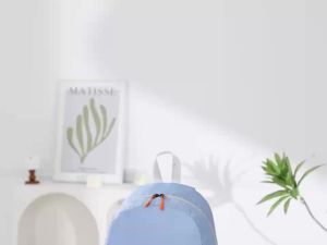 Weather-Resistant Foldable Bag for Daily Adventures RH2412