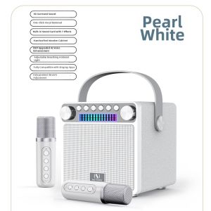 DAOUBO | Wireless Home Karaoke Microphone Speaker All-in-One System
