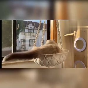 Pet Cat Bohemia Macrame Hammock Wall Hanging Basket Sleeping Mat Hand Woven Cat Swing Tapestry Bed Home Decoration