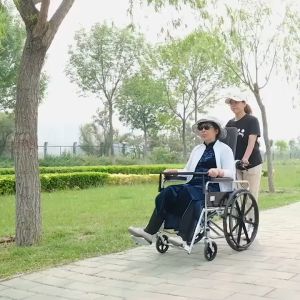 Smile Manila [Local Fast Delivery] WheeIchair For Adult Folded High Back Reclining Multifunction Wheel Chair For The Elderly Lightweight With Toilet