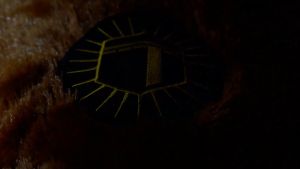 Sajadah Bulu Rasfur Anti Slip & Berkualitas Tinggi