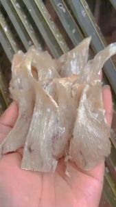 Chân yến thô nguyên chất ít lông