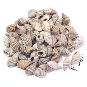 40g/lot Sea Flower Snail Shell Beads Loose Spacer Beads For Jewelry Making DIY Bracelet Pendant Phone Key Bag Chain Accessories