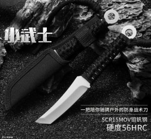 Mini straight knife outdoor camping barbecue home cutting steak cutting fruit multifunctional knife