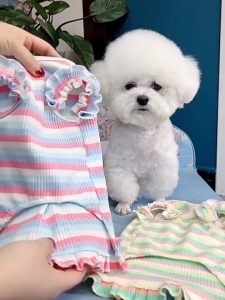 váy đầm cánh tiên thêu hoa sứ trắng dành cho chó mèo - T3 PETS SHOP