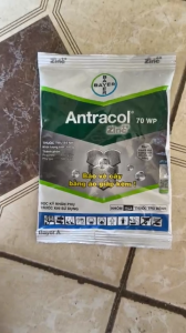 THUỐC NẤM ANTRACO 70WB 100G