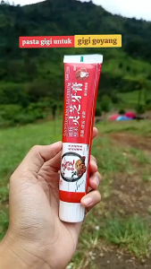 Pasta Gigi untuk Mengencangkan Gigi Goyang  Merontokkan Plak Gigi Menyehatkan Gusi GANODERMA LUCIDUM tooth repair paste