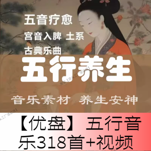 High-Quality Music USB Flash Drive Guoyue Light Music Healing Music No Loss of Sound Quality Car Audio Accessories