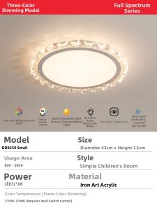 Aiskdan | Elegant Creative Full Spectrum Eye-protecting Ceiling Light