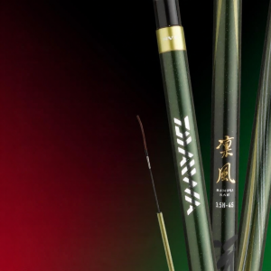 Daiwa | Black Pit and Leisure Fishing Rod