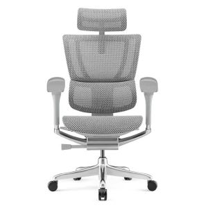 Ergonor | Lumbar Support Ergonomic Office Chair