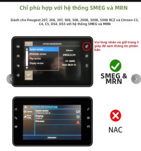 Mô-đun Carplay Không Dây Android Auto Cho Peugeot/Citroen 208/308/508 3008 C4 DS3 DS4 DS5 SMEG MRN Bộ Chuyển Đổi Đa Phương Tiện Hỗ Trợ Mirror Link