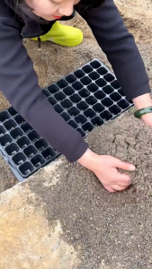 MQQHOMEE ถาดเพาะกล้า ถาดเพาะเมล็ด ถาดเพาะชำ ถาดเพาะ ถาดเพาะต้นอ่อน เพาะเมล็ด ถาดเพาะไฮโดร 32 50 72 105 128 200หลุม