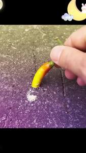 Miewei Di Factory Direct Sale Cockroach Bait Bedroom Kitchen Insecticide Ant Bait Household Cockroach Bait Cockroach Powder