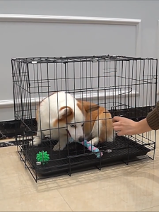 Large Dog Cage 1.5 Feet Cat Cage Sangkar Kucing 1.5 Kaki 2 Pintu With Tray Pet Cage Rabbit Cage