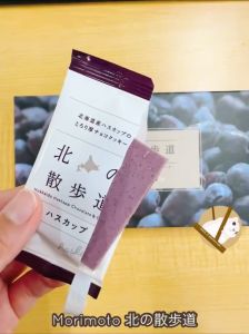 MORIMOTO Hokkaido Limited Chocolate Cookies 8pcs Haskapp/Strawberry/Melon Biscuits Japanese Snacks Souvenir