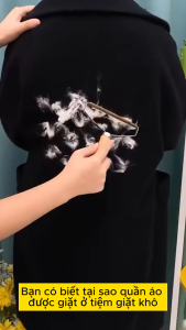 cây lăn lông bụi nhỏ gọn tiện lợi