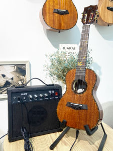 Portable Mini Electric Guitar Amplifier High Power Ukelele Electric Box Style Sound System Childrens Small Guitar Amp