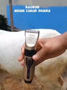 READY BaoRun Alat Mesin Cukur Elektrik Bulu Hewan domba kucing kambing anjing Pet tanpa kabel k5