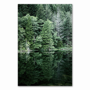 Forest Waterfall Bridge Landscape Picture Scandinavian Scenery Nature Canvas Wall Art Print Nordic Decoation