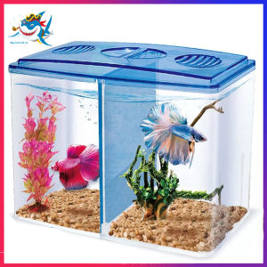 Bể Cá Mini 20x15x9cm 2 Ngăn Siêu Tiện Lợi Để Bàn