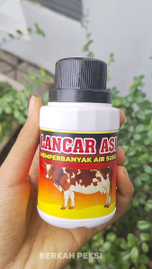 LANCAR AIR SUSU HEWAN TERNAK EFEKTIF AMPUH AMAN UNTUK SAPI KAMBING DOMBA KERBAU DLL
