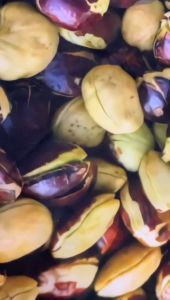 kaos jersey sayuran jengkol jersey unik kaos sayur balap kaos printing 3d motif sayur fullprint