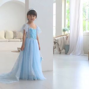 hiCosplaydy Kids Princess Elsa Dress Cosplay Costume