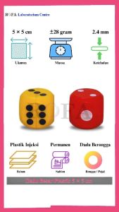 Dadu Muka 6 / Dadu Besar Plastik / Alat Peraga Peluang Matematika