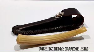 Pipa Once Iga Duyung Full Kristal Original Natural