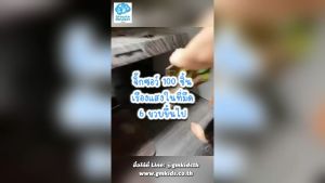 GM Kids (ของแท้ USA พร้อมส่ง) จิ๊กซอว์ 100 ชิ้น Glow in the Dark 100 Pieces Jigsaw Puzzle Mudpuppy ht0065