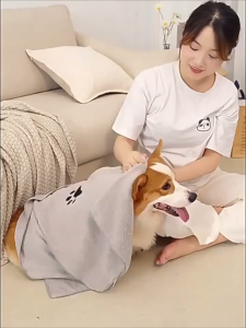 ผ้าเช็ดขนสัตว์เลี้ยง หมา แมว ผ้าไมโครไฟเบอร์ ซับน้ำได้ดี ผ้าเช็ดขนแมว สุนัข สัตว์เลี้ยง ผ้าขนหนูดูดซับสัตว์เลี้ยง ดูดซับพิเศษหนาทำความสะอาด